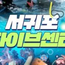 서귀포다이브센터스쿠버다이빙