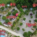 힐스톤 캠핑장 이미지