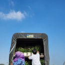 맑은샘농장 이미지