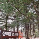 정이품송 공중화장실 네이버블로그