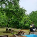 007흥정계곡 반딧불캠핑장 이미지