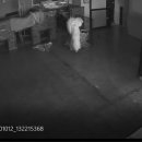 애견호텔 이미지