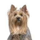 우리종합 동물병원 이미지