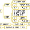 생명체를 구성하는 기본 물질 이미지