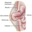 24시 양주 힐 동물의료센터 이미지