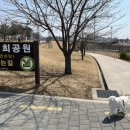 도도한댕댕 이미지