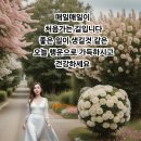 우엉의 놀라운 효능(效能) 10가지 이미지