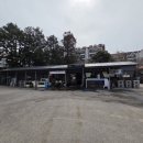 종합수산시장 | 제주올레시장맛집 88종합수산 홍가리비찜 포장 후기