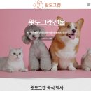 펫바라기 | 왓도그캣 무료펫선물 강아지유모차 당첨 후기
