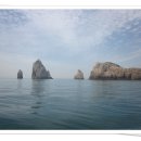 백도겸 카카오 검색결과