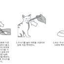 호랑이약국 이미지