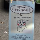 부엉이젤라또 | 자양동 부엉이 젤라또 후기