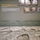 함안외암리공룡발자국 화석 이미지