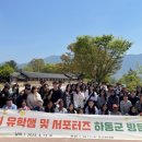 디자인마인드 이미지