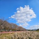 북면생태공원(다목적광장) | 서울근교가볼만한곳 시흥갯골생태공원