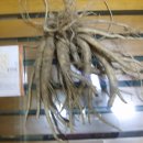 독동농장 이미지