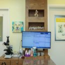 메디펫동물병원 이미지