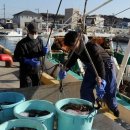 [원전사고 10년] "후쿠시마 생선 문제없다" 강변…오염수 찬반 팽팽 이미지