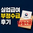 실업급여 부정수급 후기, 조사에서 무엇을 물어볼까?