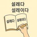 설레이다 티스토리