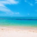 유성렌트카 이미지