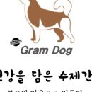 인싸도그 이미지
