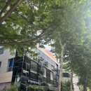 서울 강남 온플릭 실내 클라이밍장, 삼성역 코엑스 근처 놀거리 데이트 추천