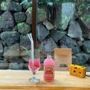 인생밥집 이미지