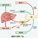 성남동물약국 이미지