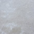 용인대 신성 태권도장 이미지