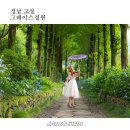 한옥그레이스 이미지