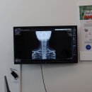 수월한방병원 이미지