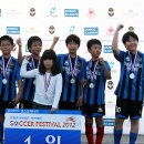 스포츠타운 인조잔디구장 이미지