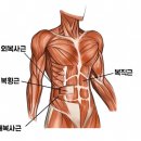 에스핏 피티 필라테스 이미지