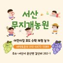 제주네갈치집