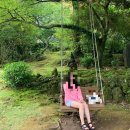 선이네농장 | 제주도 여행일지 DAY1&amp;2 : 미스칠, 김경숙 해바라기농장, 남국사, 북촌에가면, 도렐 제주점, 흑돼지고을...