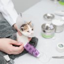 필동물병원 이미지