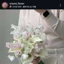 오리움커피