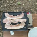 반월천 | 무더운날에도 시원했던 군포 반월저수지/반월천캠핑장 후기