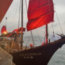 루나트립 이미지