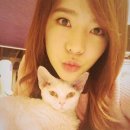 써니메디칼 이미지