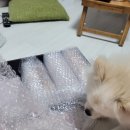 풍년옛날과자 이미지