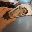 석화로 | 대구 동성로 맛집 잘떳다산오징어 생+찜 석화 반반 먹방 후기