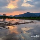 태양을향하여 이미지