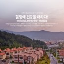 홀론스파 이미지