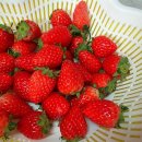 금비마트 이미지