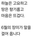 유월의 시 이미지