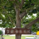 성골농원 민박 이미지