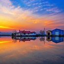 우강평야1로 이미지