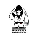 용인대 합기도 주짓수 이미지